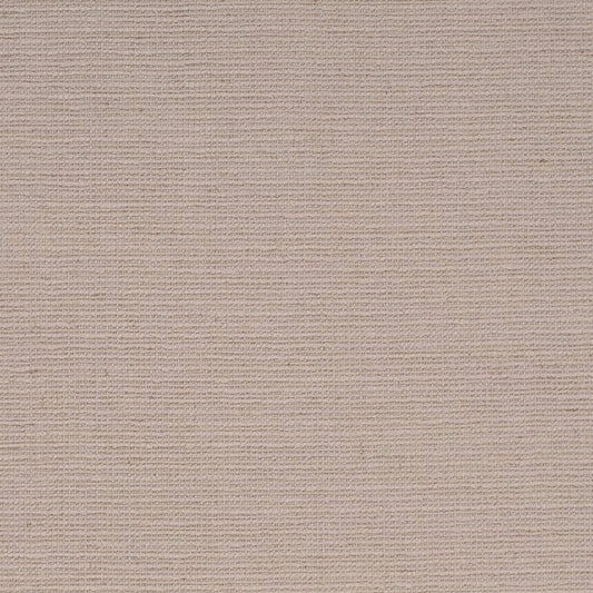 D4264 Plain & Solid Fossil Grey & Silver Charlotte Fabrics