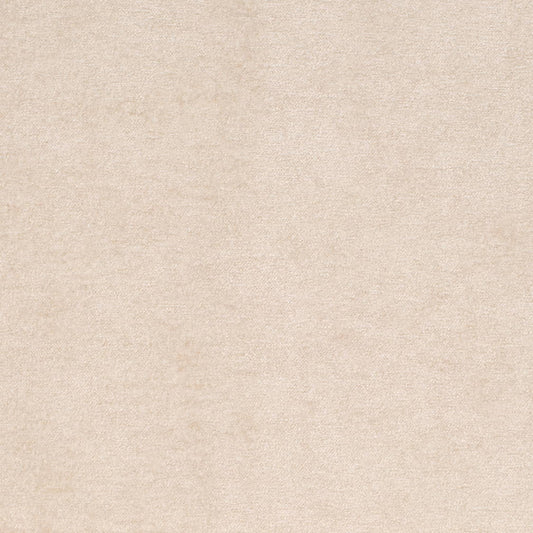D4269 Plain & Solid Frost Beige & Taupe Charlotte Fabrics