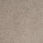 D4271 Plain & Solid Platinum Grey & Silver Charlotte Fabrics