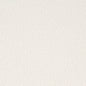 D4273 Plain & Solid Pearl White & Ivory Charlotte Fabrics