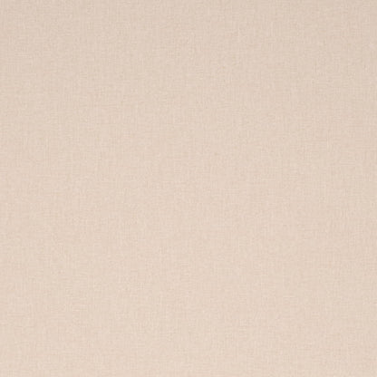 D4275 Plain & Solid Eggshell Beige & Taupe Charlotte Fabrics