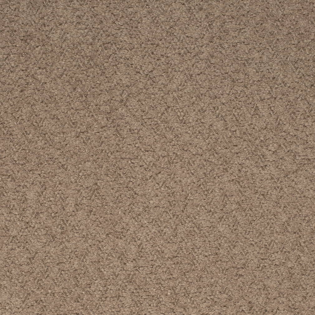 D4280 Plain & Solid Hazelnut Brown Charlotte Fabrics