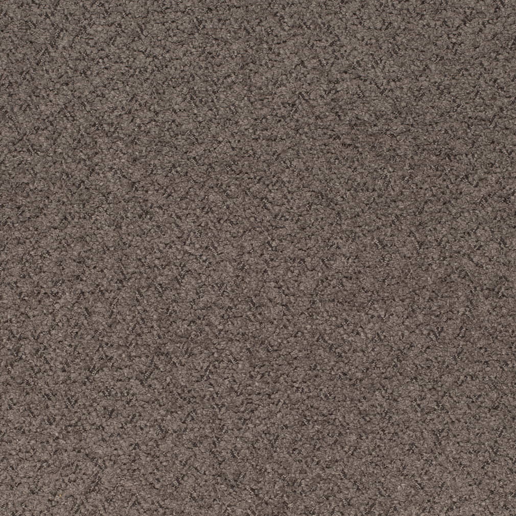 D4282 Plain & Solid Espresso Brown Charlotte Fabrics
