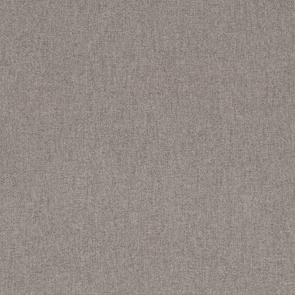D4283 Plain & Solid Zinc Grey & Silver Charlotte Fabrics