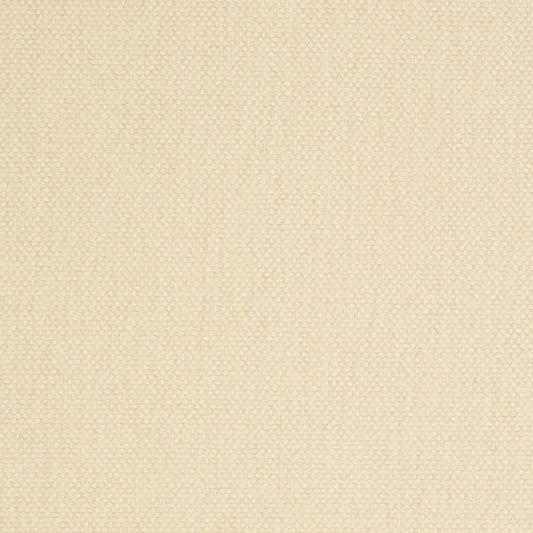 D4457 Plain & Solid Pearl White & Ivory Charlotte Fabrics