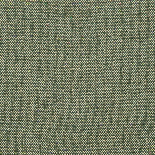 D4475 Plain & Solid Hunter Green Charlotte Fabrics