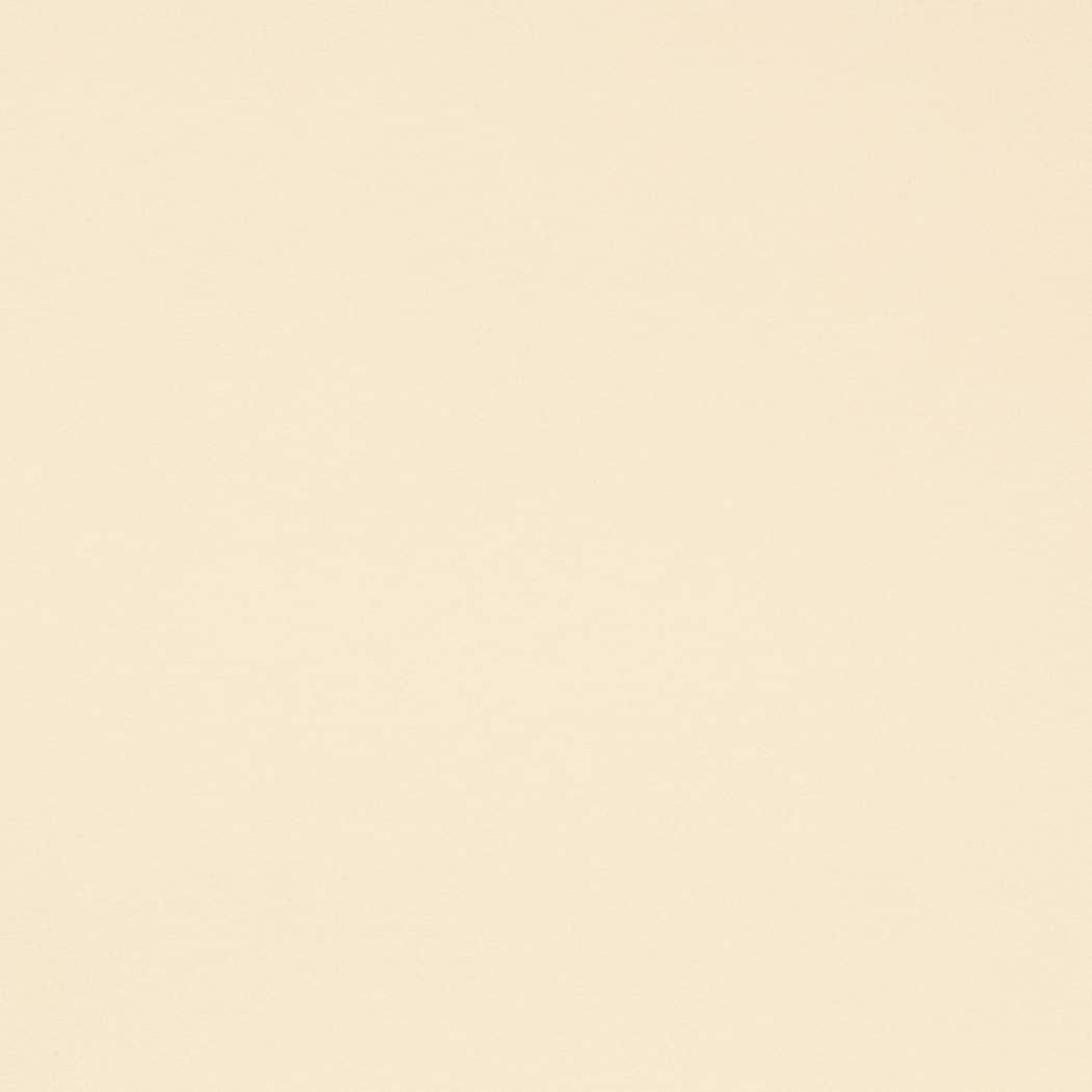 D4495 Plain & Solid Vanilla White & Ivory Charlotte Fabrics