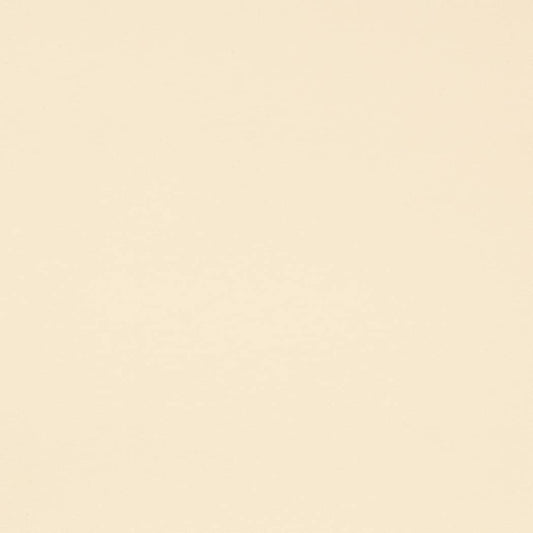 D4495 Plain & Solid Vanilla White & Ivory Charlotte Fabrics
