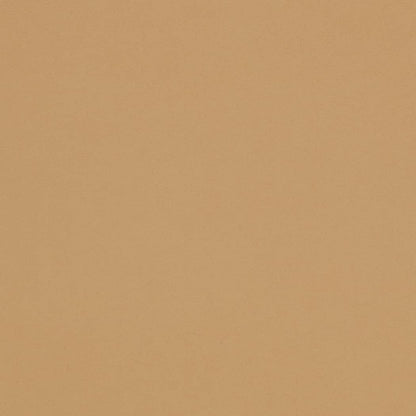 D4497 Plain & Solid Tan Beige & Taupe Charlotte Fabrics