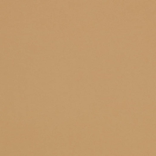 D4497 Plain & Solid Tan Beige & Taupe Charlotte Fabrics