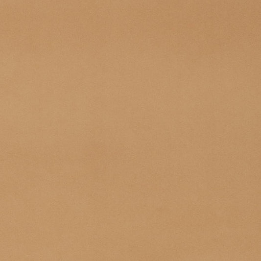 D4498 Plain & Solid Khaki Beige & Taupe Charlotte Fabrics