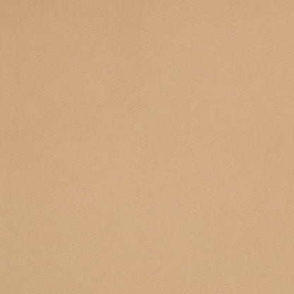 D4511 Plain & Solid Pearl Beige & Taupe Charlotte Fabrics