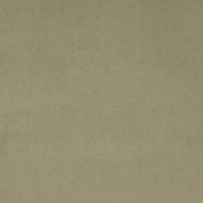 D4514 Plain & Solid Sage Green Charlotte Fabrics