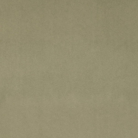 D4514 Plain & Solid Sage Green Charlotte Fabrics
