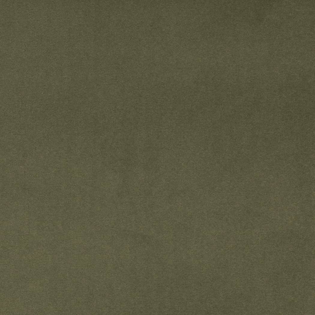 D4516 Plain & Solid Dill Green Charlotte Fabrics