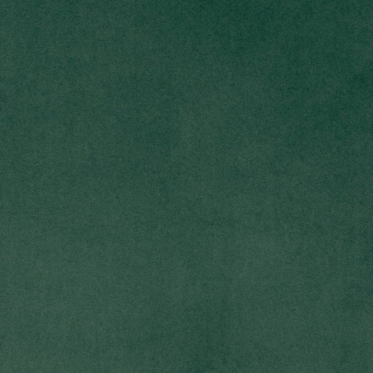 D4517 Plain & Solid Pine Green Charlotte Fabrics