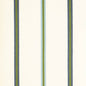 D4539 Stripe Awning Pool Aqua & Teal,Blue Charlotte Fabrics