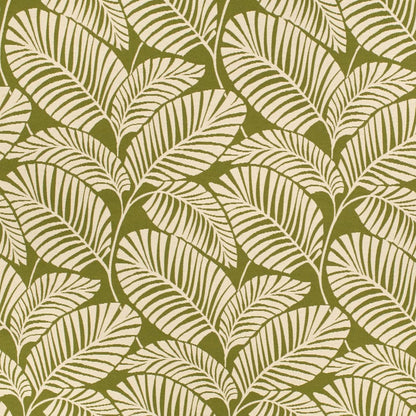 D4558 Leaves,Tropical & Botanical Palm Grass Green Charlotte Fabrics