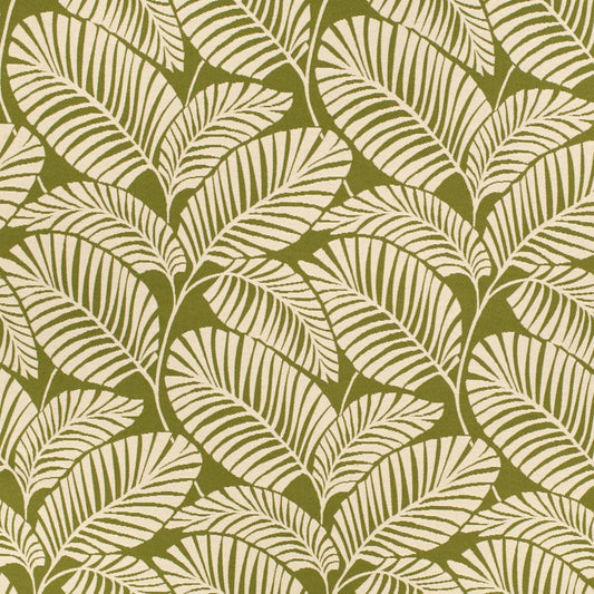 D4558 Leaves,Tropical & Botanical Palm Grass Green Charlotte Fabrics