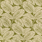 D4558 Leaves,Tropical & Botanical Palm Grass Green Charlotte Fabrics