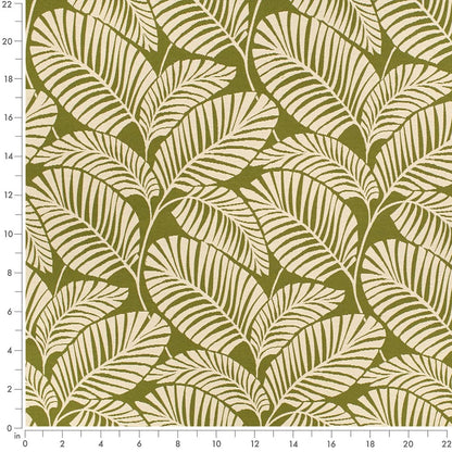 D4558 Leaves,Tropical & Botanical Palm Grass Green Charlotte Fabrics