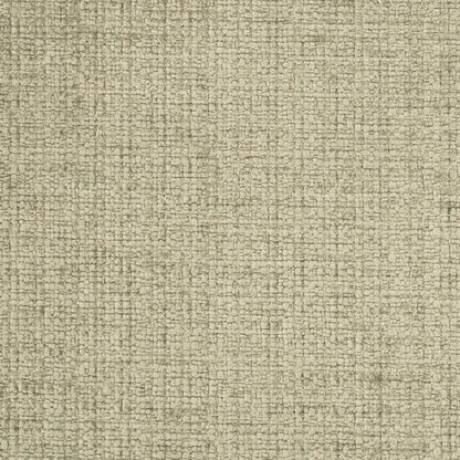 D4575 Plain & Solid Silversage Green Charlotte Fabrics