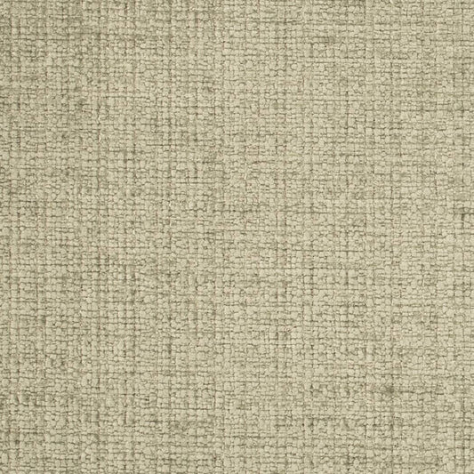 D4575 Plain & Solid Silversage Green Charlotte Fabrics