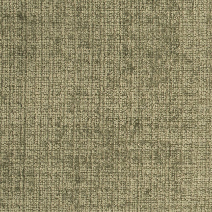 D4578 Plain & Solid Lichen Green Charlotte Fabrics