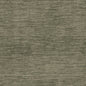 D4593 Plain & Solid Juniper Green Charlotte Fabrics