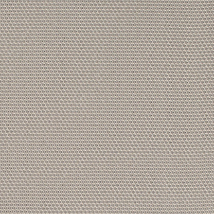 D4624 Plain & Solid,Small Scale Platinum Grey & Silver Charlotte Fabrics