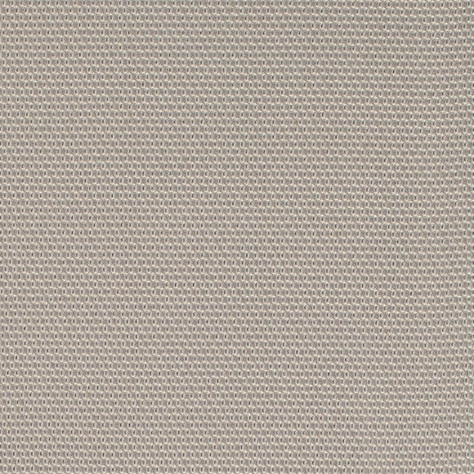D4624 Plain & Solid,Small Scale Platinum Grey & Silver Charlotte Fabrics