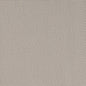 D4624 Plain & Solid,Small Scale Platinum Grey & Silver Charlotte Fabrics