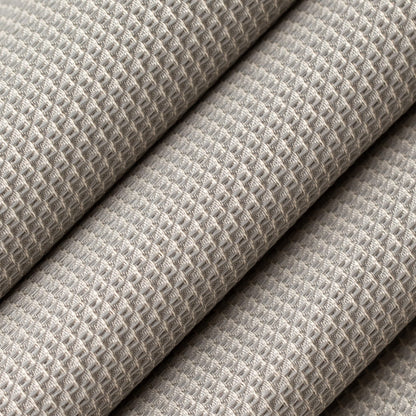 D4624 Plain & Solid,Small Scale Platinum Grey & Silver Charlotte Fabrics