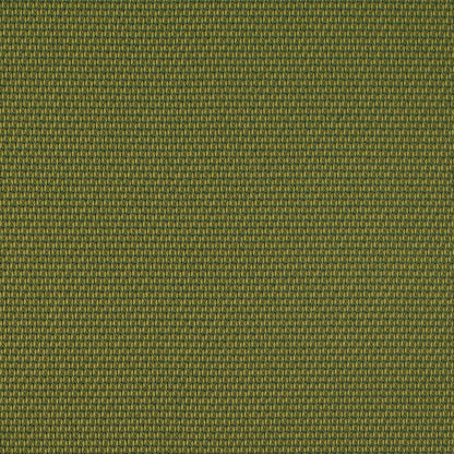 D4629 Plain & Solid,Small Scale Lime Green Charlotte Fabrics