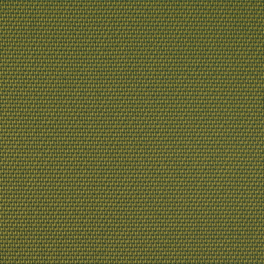 D4629 Plain & Solid,Small Scale Lime Green Charlotte Fabrics