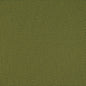 D4629 Plain & Solid,Small Scale Lime Green Charlotte Fabrics