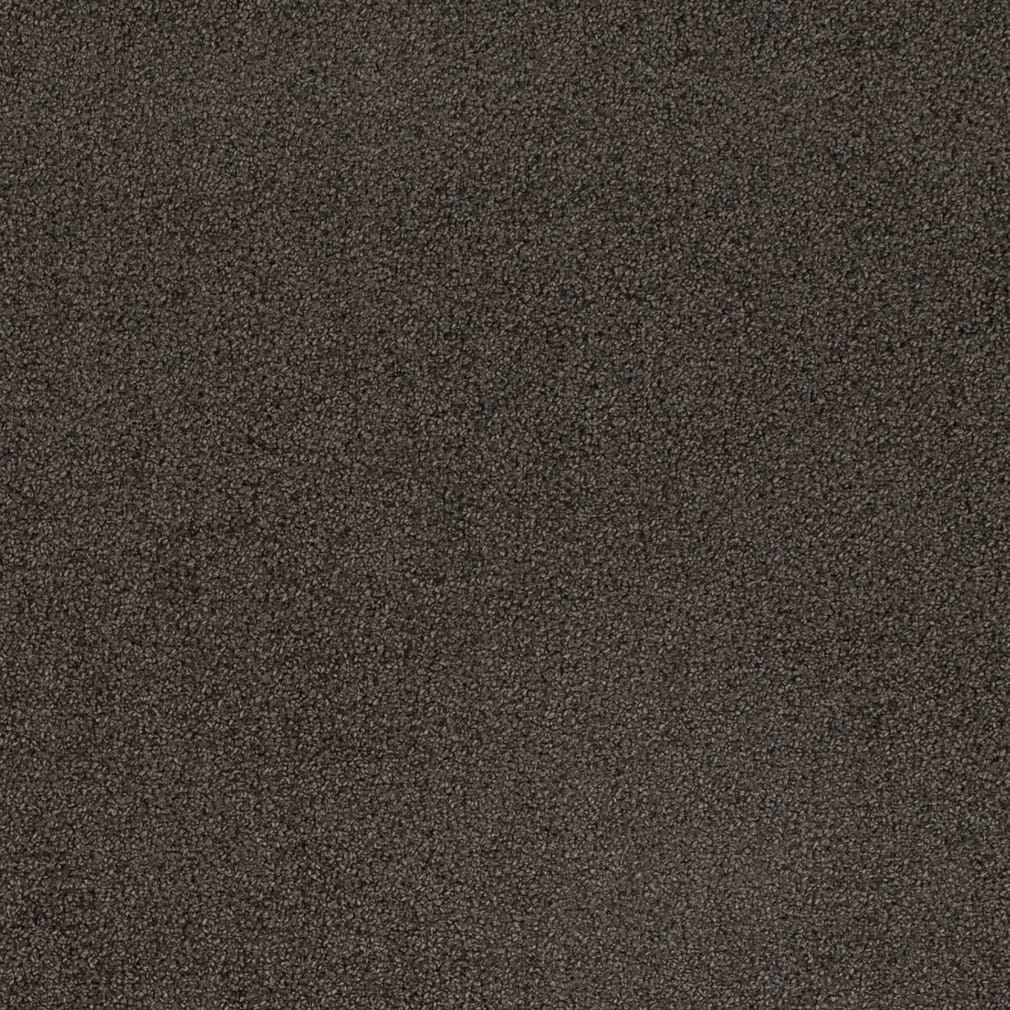 D4659 Plain & Solid Ash Grey & Silver Charlotte Fabrics