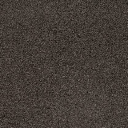 D4659 Plain & Solid Ash Grey & Silver Charlotte Fabrics