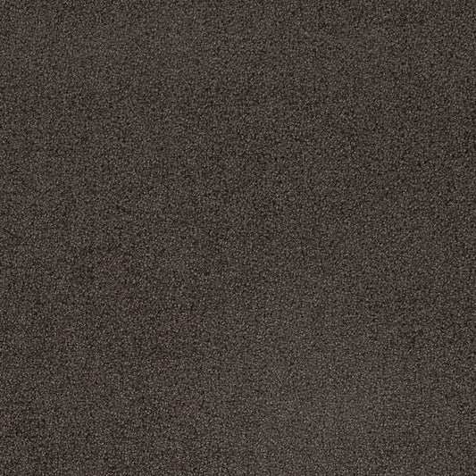 D4659 Plain & Solid Ash Grey & Silver Charlotte Fabrics
