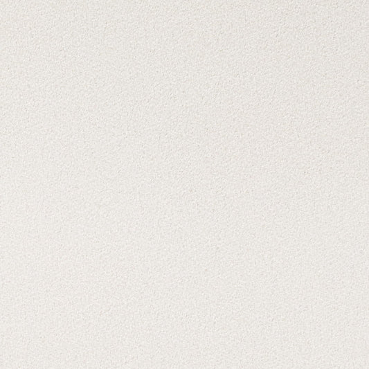 D4661 Plain & Solid Cotton White & Ivory Charlotte Fabrics