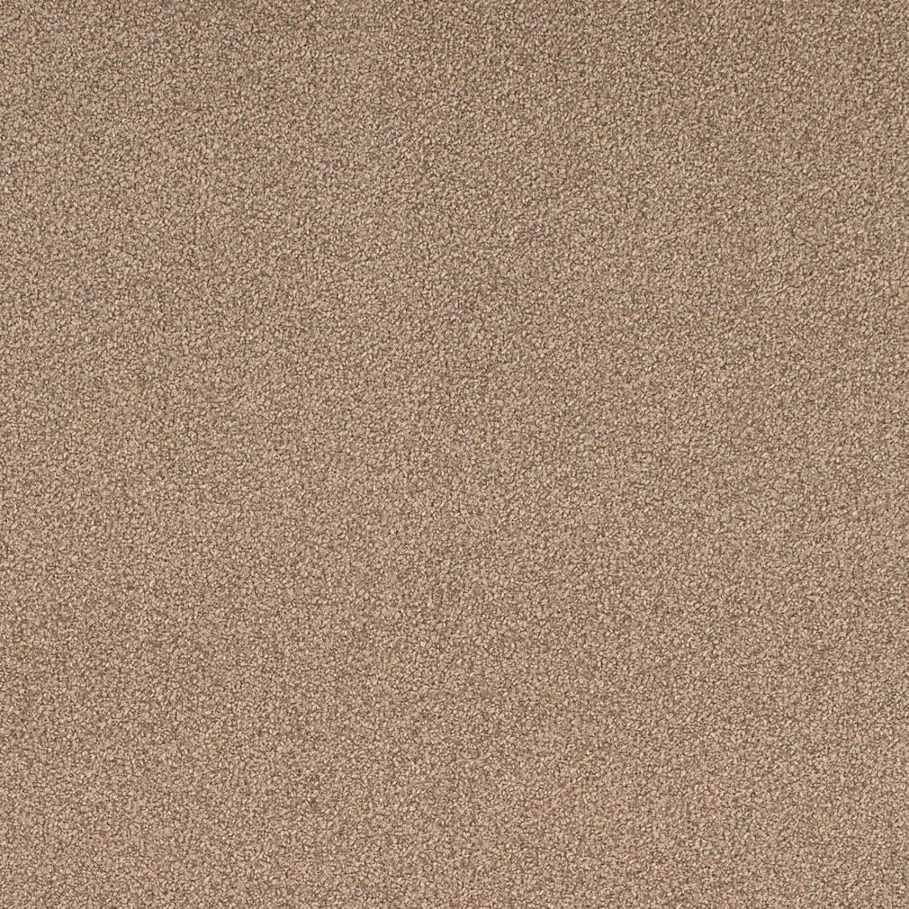 D4662 Plain & Solid Taupe Beige & Taupe Charlotte Fabrics
