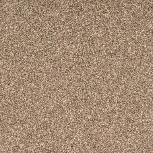 D4662 Plain & Solid Taupe Beige & Taupe Charlotte Fabrics