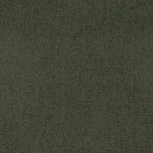 D4665 Plain & Solid Eucalyptus Green Charlotte Fabrics