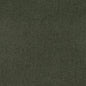 D4665 Plain & Solid Eucalyptus Green Charlotte Fabrics