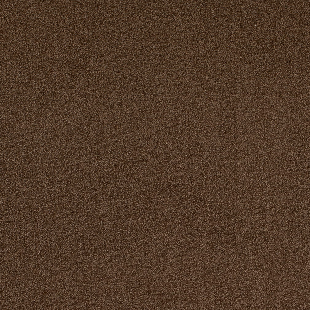 D4667 Plain & Solid Pecan Brown Charlotte Fabrics