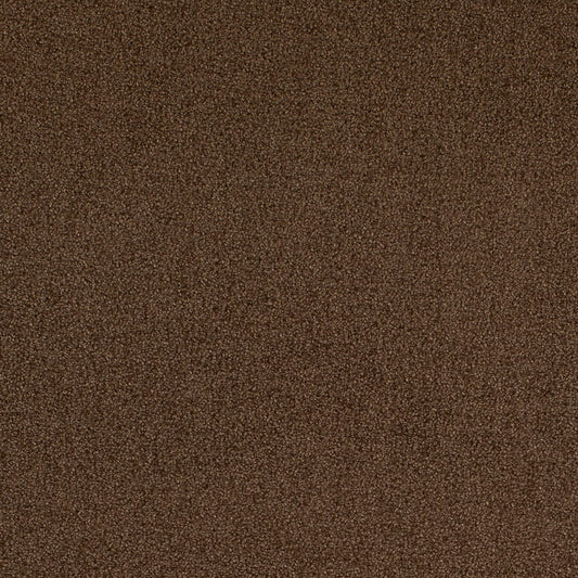 D4667 Plain & Solid Pecan Brown Charlotte Fabrics