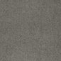 D4668 Plain & Solid Cement Grey & Silver Charlotte Fabrics