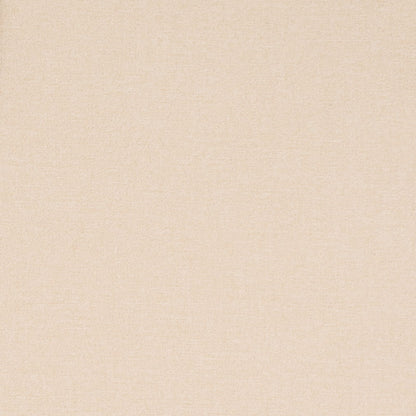 D4671 Plain & Solid Eggshell Beige & Taupe Charlotte Fabrics