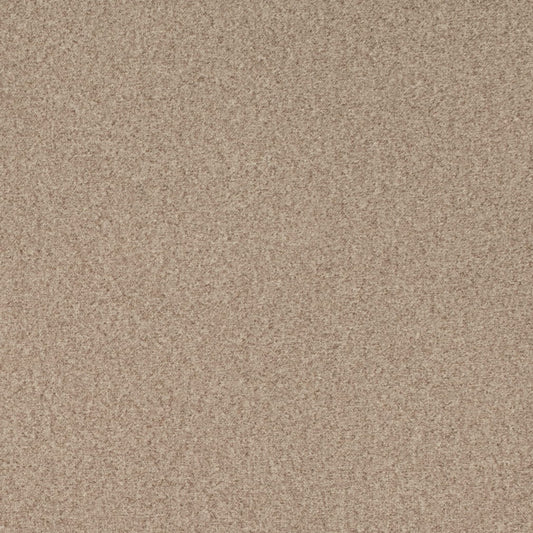 D4672 Plain & Solid Pebble Beige & Taupe Charlotte Fabrics