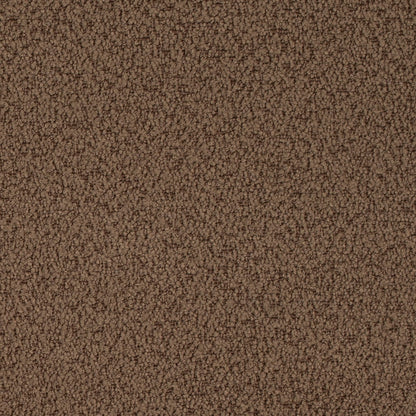 D4682 Plain & Solid Cappuccino Brown Charlotte Fabrics
